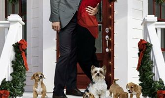 12 щенков Рождества