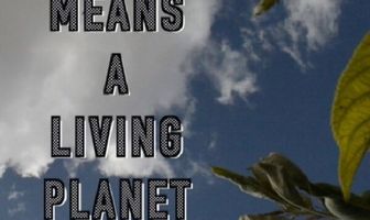 A living tree means a living planet