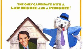 Лохматый прокурор