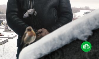 Уцелевшие