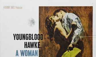 Молодой Хоук