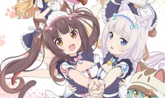 Кошачий рай