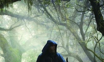 The Wayfarer