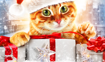 Рождество кота Боба