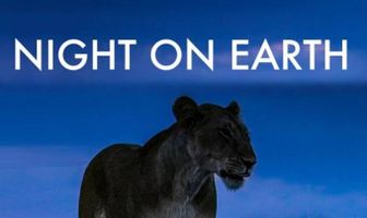 Ночь на Земле