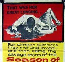 Лето семнадцатой куклы