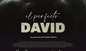 El perfecto David