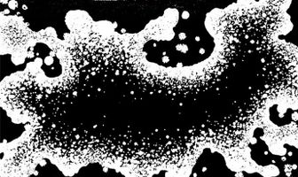 Проклятие: Начало