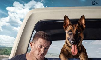 Лулу и Бриггс