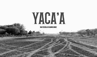 Yacaa