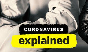 Коронавирус, объяснение