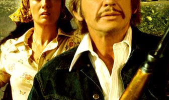 Мистер Маджестик