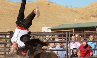 Чудаки навсегда