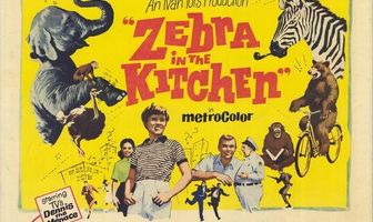 Зебра на кухне