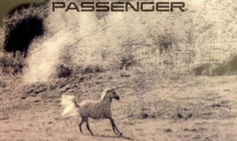 The Passenger