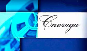 Воспоминания