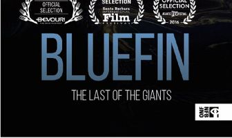Bluefin
