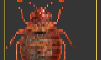 Они приходят ночью