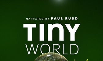 Крошечный мир