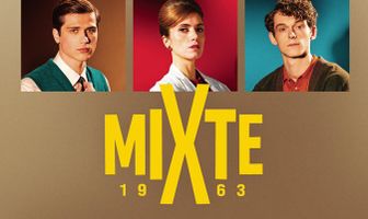 Смешанный лицей