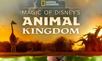 Magic of Disney's Animal Kingdom
