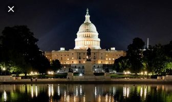 The Plot Against the President