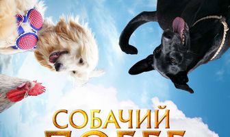 Собачий побег