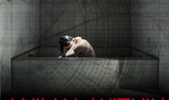Animal Within