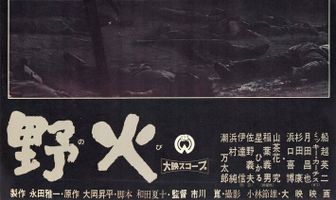 Полевые огни