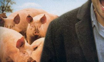 Одиночество крокодилов
