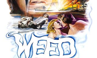 The Florida Connection