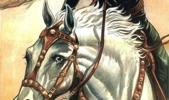 Закон с двумя кулаками