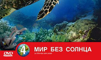 Одиссея Жака Кусто: Мир без солнца