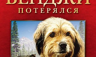Бенджи потерялся