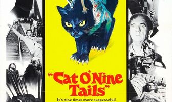 Кошка о девяти хвостах