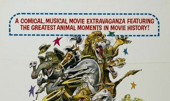 Время развлечения