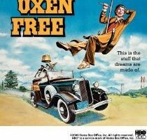 Вышел зайчик полетать