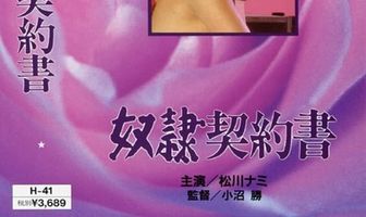 Договор подчинения