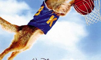 Король воздуха