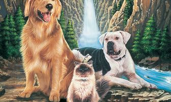 Дорога домой: Невероятное путешествие