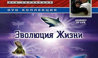 BBC: Эволюция жизни