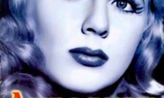 Леди в поезде