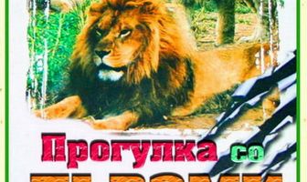 Прогулка со львами