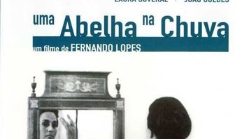 Пчела под дождём