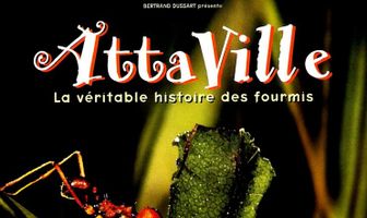 Attaville, la véritable histoire des fourmis