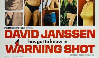 Предупредительный выстрел