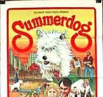 Summerdog