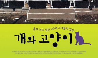 Кошка убежала из дома