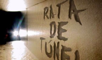 Rata de túnel