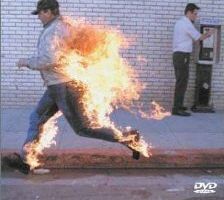 Как они туда попали